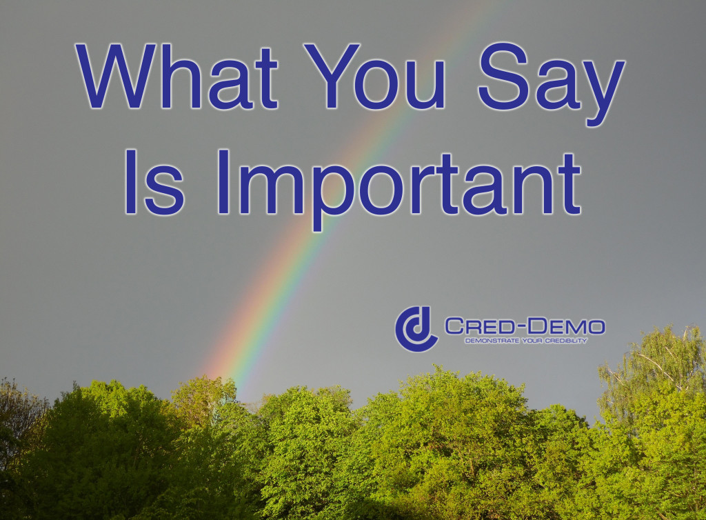 What You Say Is Important